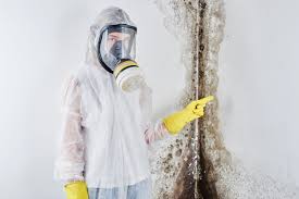 Trusted Cheswick, PA Mold Prevention & Removal  Experts